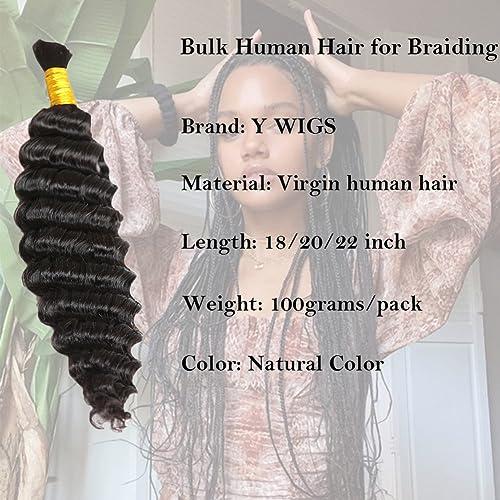 Y WIGS Y WIGS Deep Wave Bulk Human Hair for Braiding No Weft Virgin Human Hair 100g 22inch Micro Braids Human Hair Bulk NC