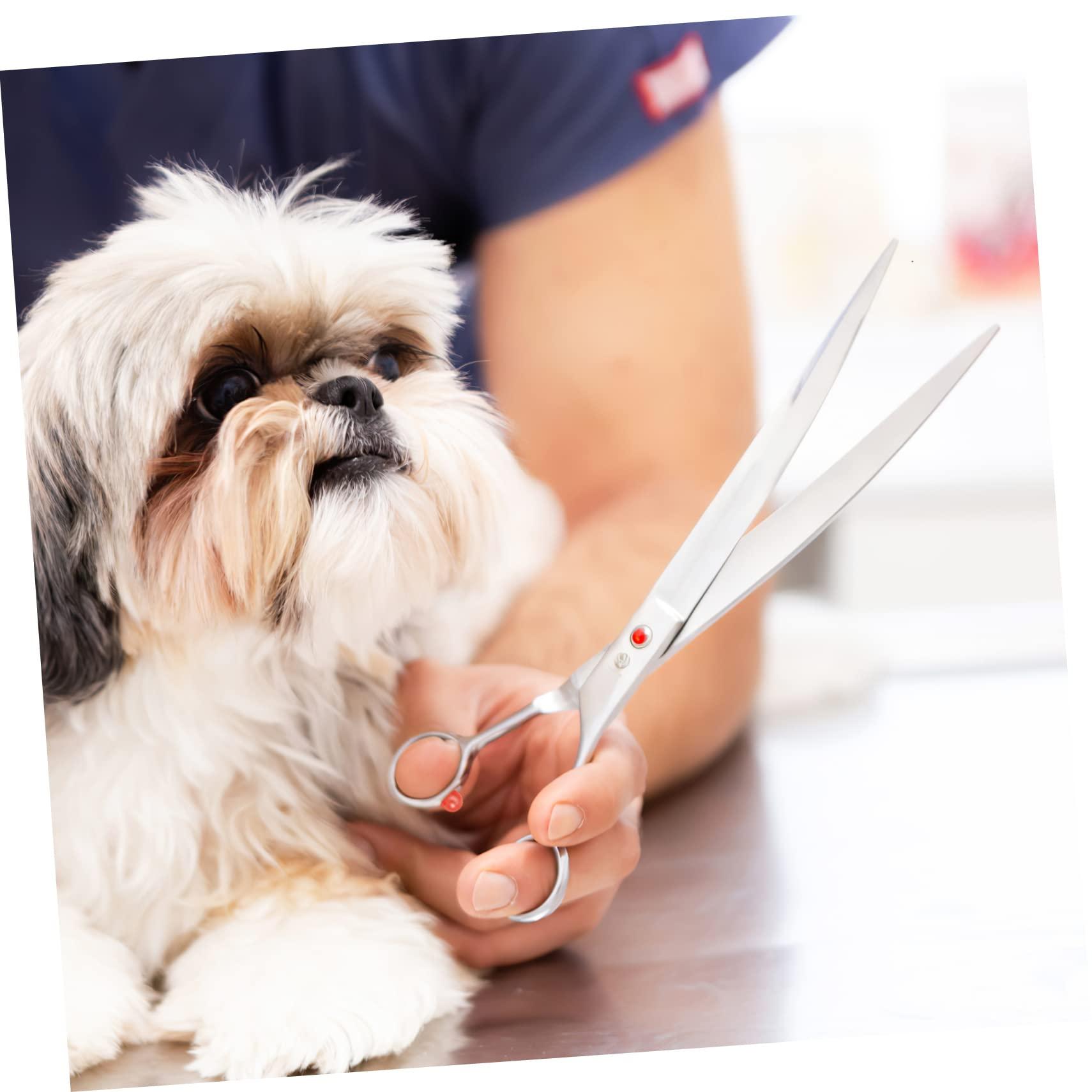 WOONEKY WOONEKY Muffler for Shears 20 Pcs Hair Scissors Bumpers Salon Equipment Barber Scissors Hair Shear Bumpers Hair Accesories Hair Shear Muffler Replacement Scissor Muffler Haircut Tool