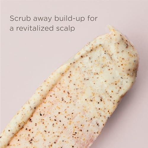 Hairitage Hairitage Restart Button Scalp Exfoliator for Dry and Sensitive Scalp - Promote Scalp Health - Clarifying Scalp Scrub for Healthier and Stronger Hair