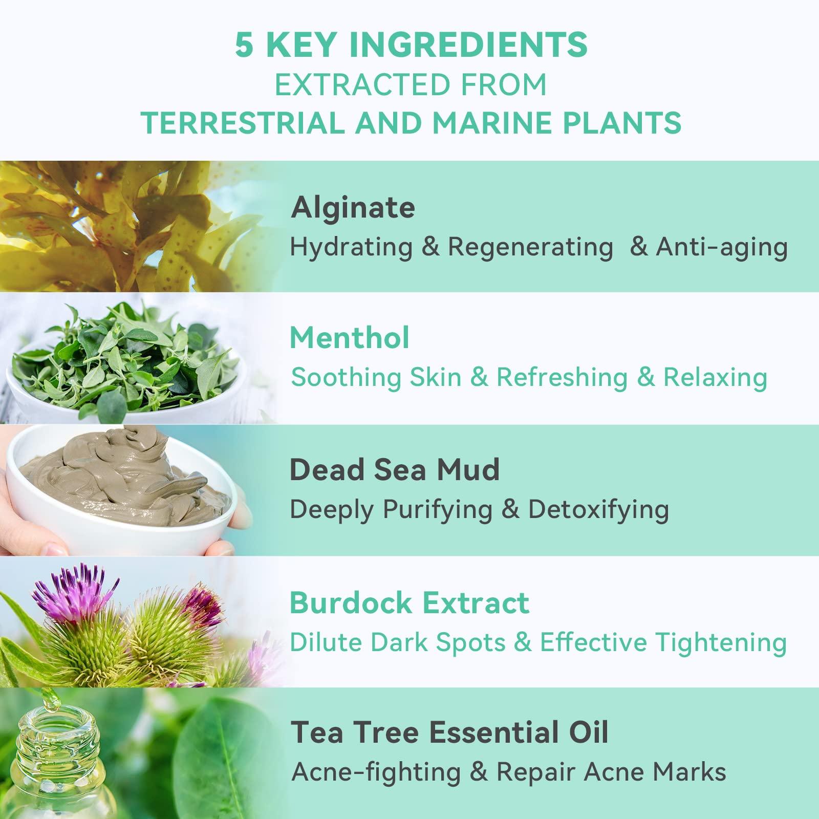 Fasplendor Fasplendor Tea Tree Peel-Off Jelly Face Mask Powder, Professional Spa-Quality Alginate Facial Mask for Deep Cleansing, Blackhead & Acne Removal, 8 Sachet, Made in France