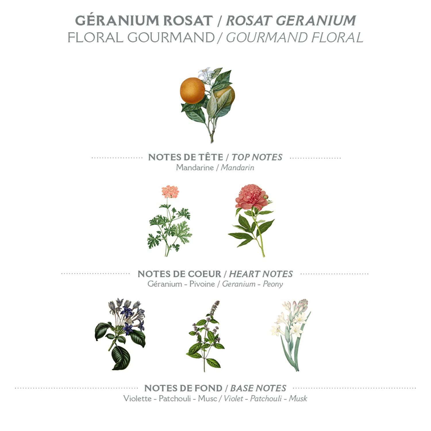 Daeng Gi Meo Ri [Doori] Daeng Gi Meo Ri KI Gold Energizing Shampoo (500ML) & Conditioner (500ML) Set (4 Big Bottles & 2 Travel Sized Bottles)