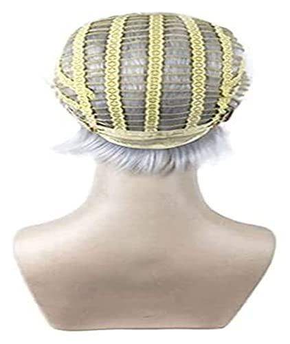 Habrur Wigs Wig Silver Grey Hair Wig Natural Short Human Hair Wigs for Women Short Wig for Daily Use Wigs