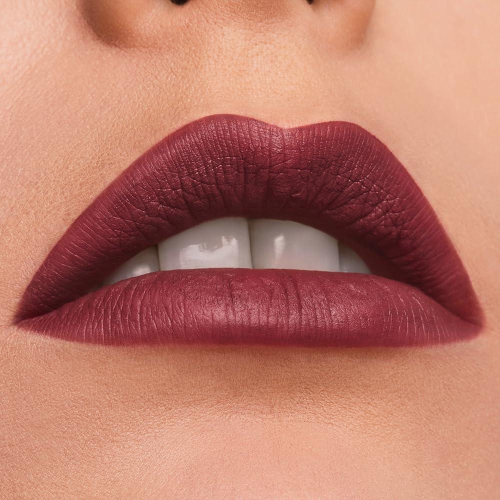Este Lauder Este Lauder Pure Color Long-Lasting Matte Lipstick with Matte Finish | Plumping & Nourishing, 690 Don\'t Stop