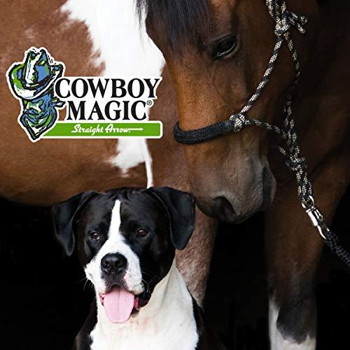 Cowboy Magic Cowboy Magic Rosewater Shampoo Refill 1 Gallon