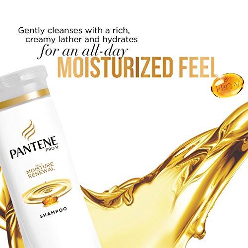 Pantene Pantene Pro-V Shampoo, Daily Moisture Renewal, 12.6 Ounce