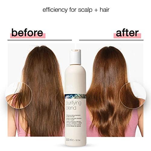 milk_shake milk_shake Purifying Blend Shampoo - Flaky and Itchy Scalp Shampoo for Women and Men SLS/SLES and Paraben Free