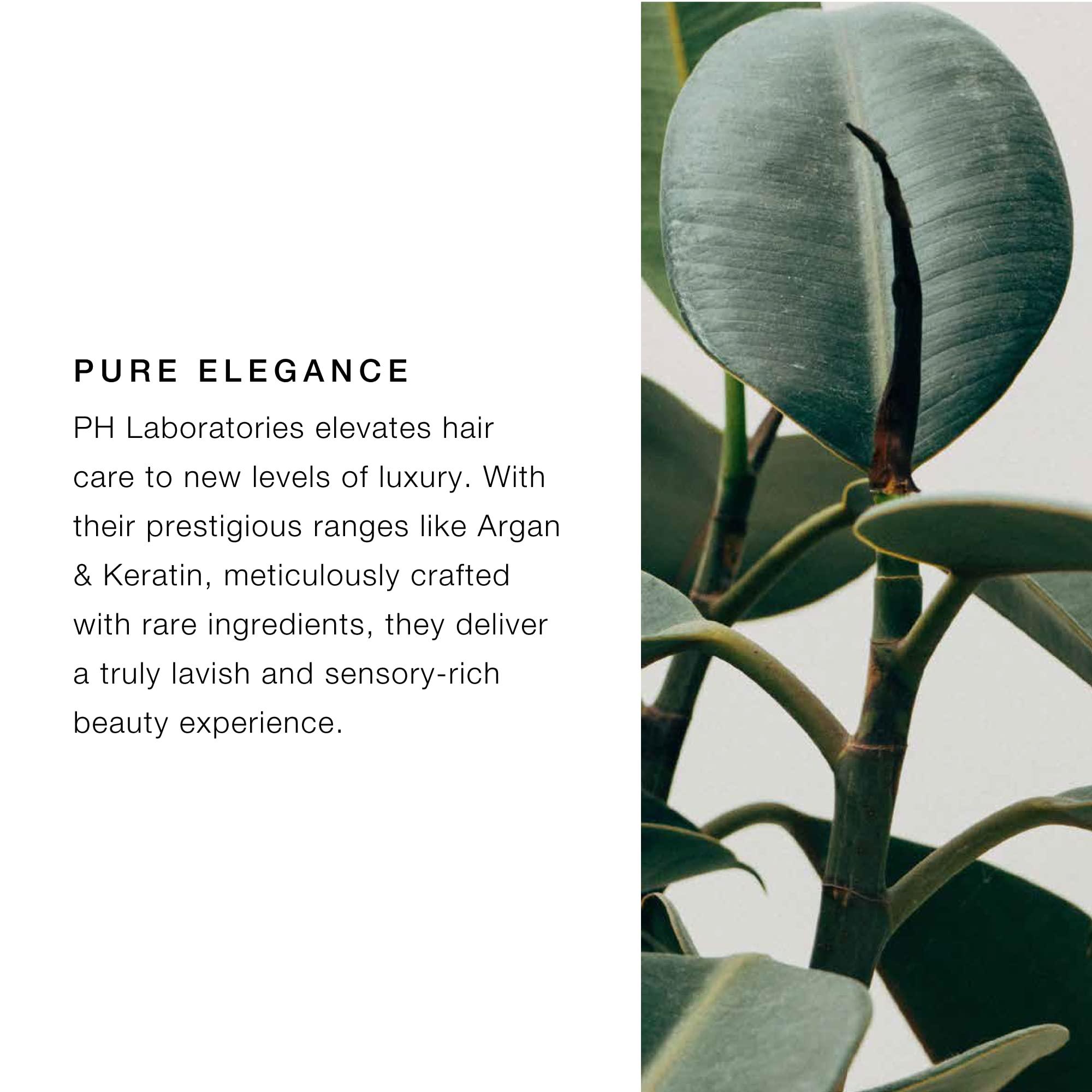 pH PURE HAIR pH PURE HAIR Labs Argan & Keratin Elixir and Leave-In Conditioner Bundle - Treatment for Damaged Hair (3.38 oz + 5.1 oz)