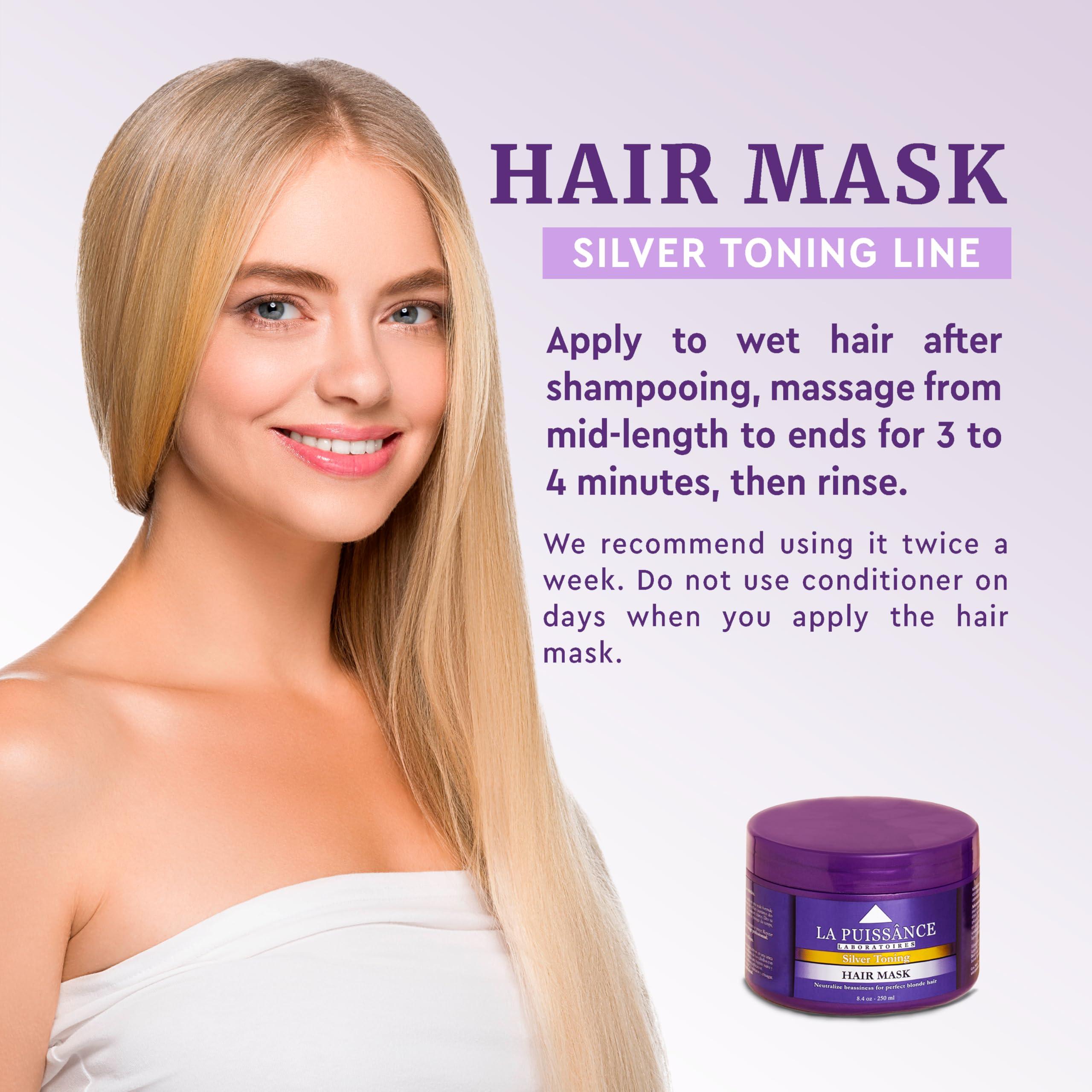 LA PUISSANCE LA PUISSANCE Silver Toning Purple Hair Mask for Blonde Hair & Gray or white Hair - Intense Hydration & Toning - Neutralizes Brassiness, Revives Shine, Softens & Hydrates - For Home and Salon Use