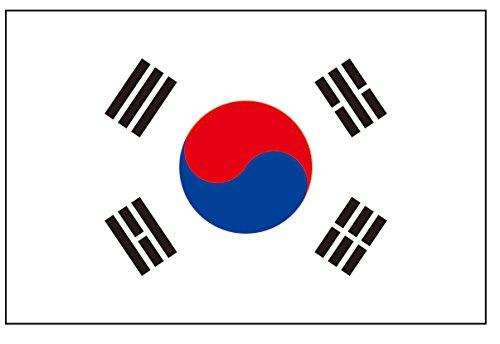 PremiumTT temporary tattoos 8 Large South Korea Flag Tattoos: Korean Party Favors