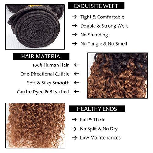 Annora Kinky Curly Bundles with Closure Two-tone Brown T1B/30 3 Bundles with 4x4 Lace ClosureHuman Hair Human Hair Grade 8A Soft 100% Brazilian Hair Extension (18"20"22"+16"Closure) Inch