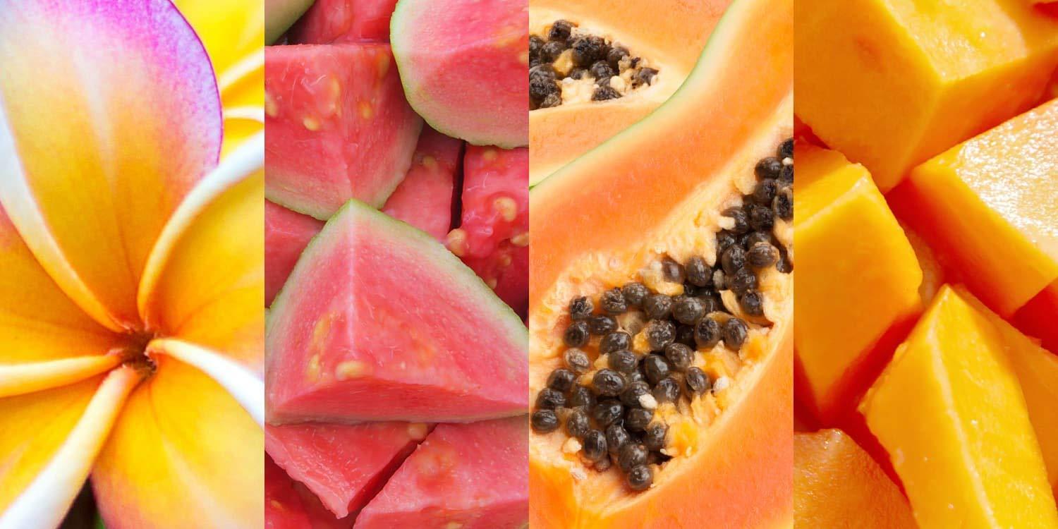 Hawaiian Tropic Hawaiian Tropic Silk Hydration After Sun