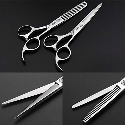 FARI FARI Hair Cutting Scissors Kit, Barber Haircut Thinning Scissors Hairdressing Shears for Salon and Home (Silver)