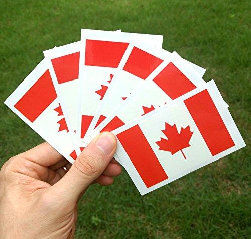 PremiumTT temporary tattoos 8 Large Canada Flag Tattoos: Canadian Party Favors