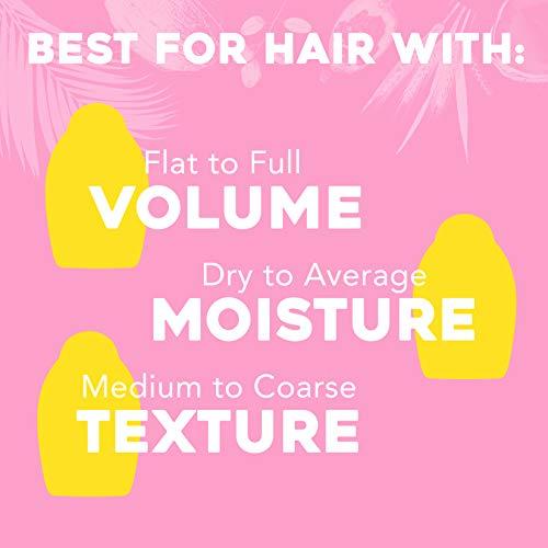 OGX OGX Strength Length + Golden Turmeric Shampoo with Milk to Soothe Scalp Nourish Hair Ayurveda SulfateFree Surfactants for Stronger Longer Hair, Coconut, 13 Fl Oz