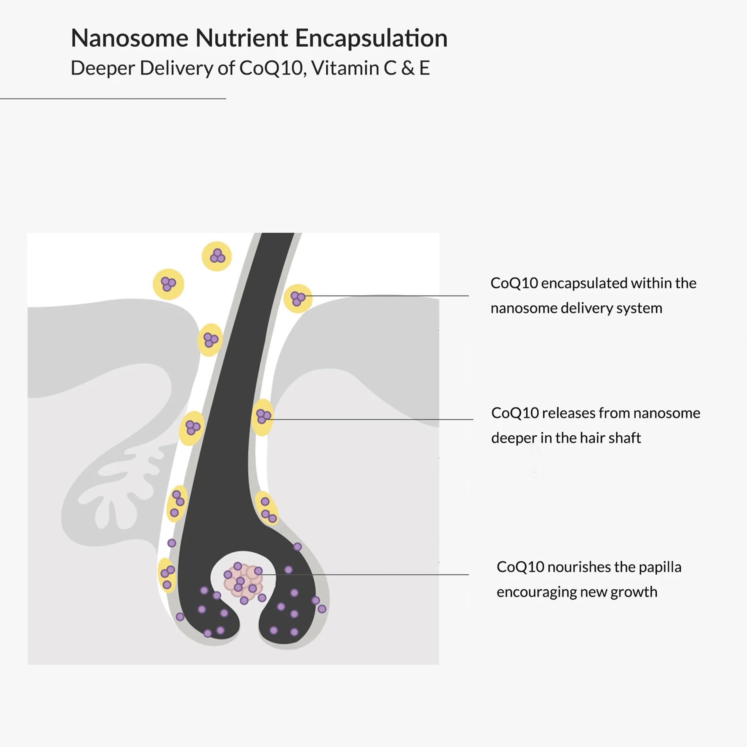 Eufora Eufora Thickening Cleansing Treatment 6.8 oz