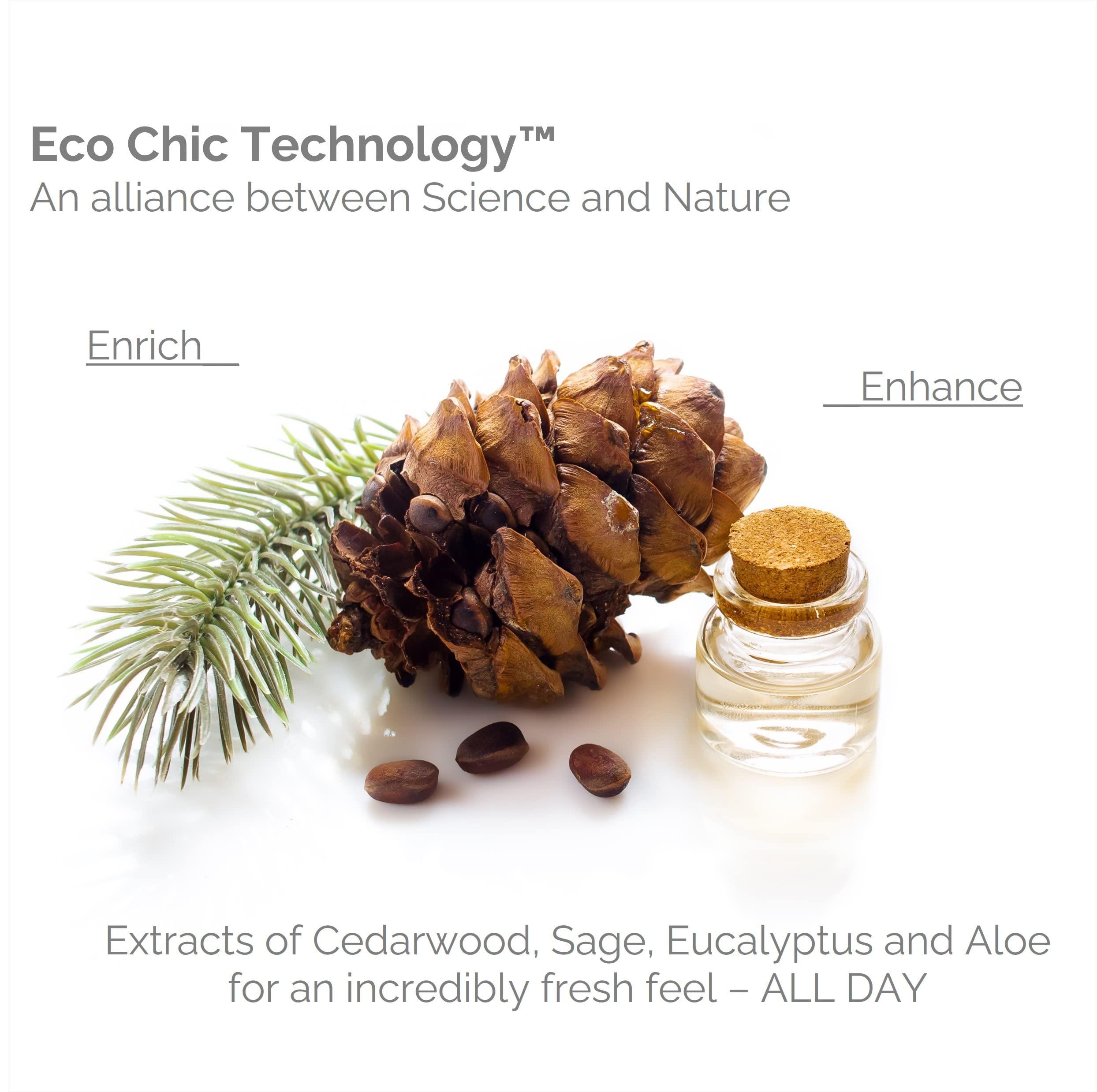 GIOVANNI Giovanni Mens 2-in-1 Daily Body Wash & Facial Cleanser, 16.9 oz., with Ginseng and Eucalyptus, Deeply Cleanses & Moisturizes for Hydrated Skin, Vegan-Friendly, Mens Cedarwood Collection