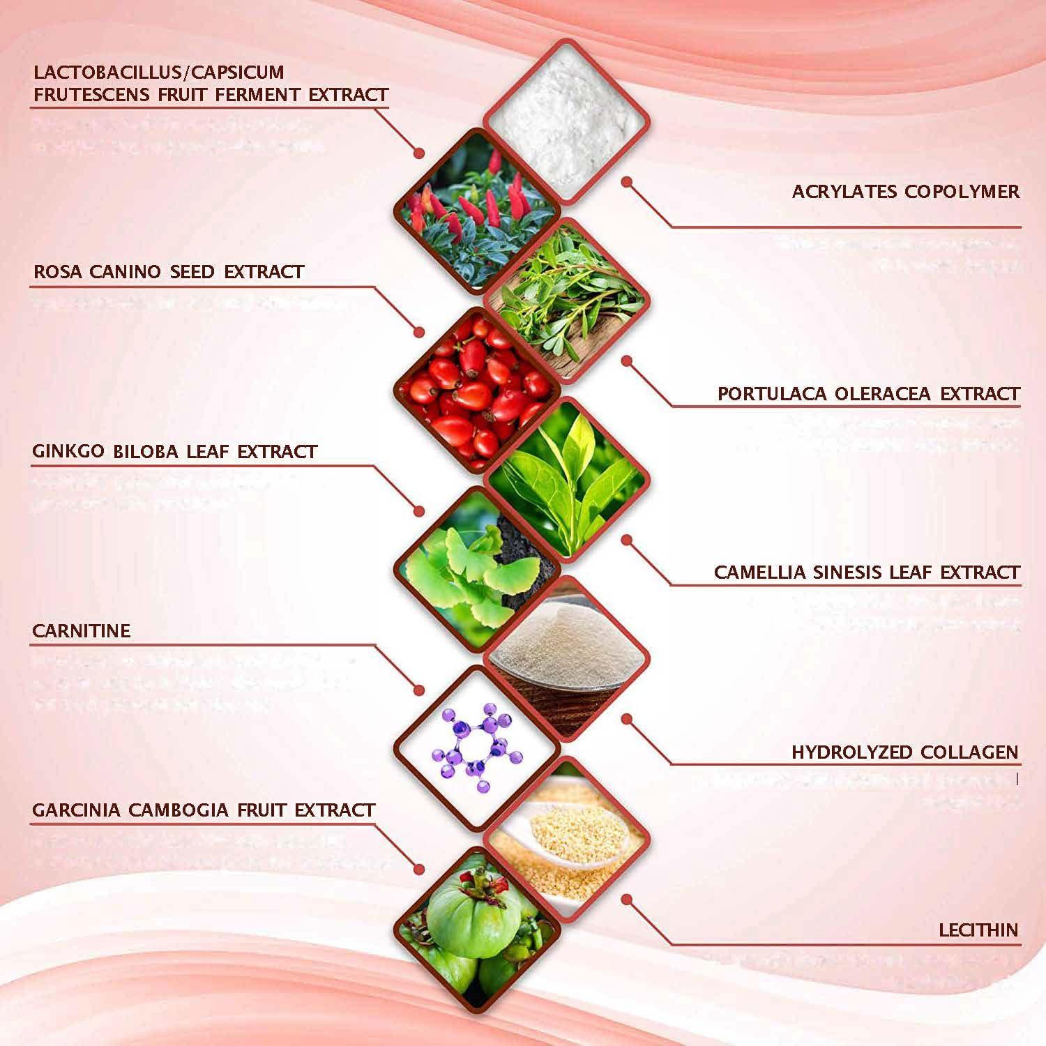 Shape and Tone Body Products All Natural Moisturizing Body Contouring Applicator Wrap – Easy to Use Body Wrap - By Shape and Tone (10 APPLICATORS)