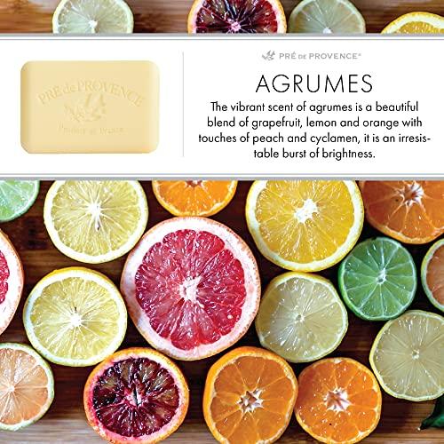 Pre de Provence Pre de Provence Artisanal Soap Bar, Enriched with Organic Shea Butter, Natural French Skincare, Quad Milled for Rich Smooth Lather, Agrumes, 8.8 Ounce