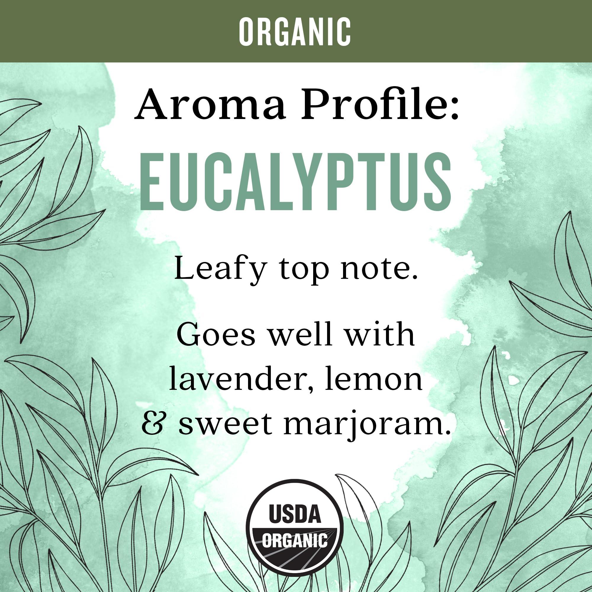 Aura Cacia Aura Cacia Organic Eucalyptus (Radiata) Essential Oil 0.25 fl. oz.