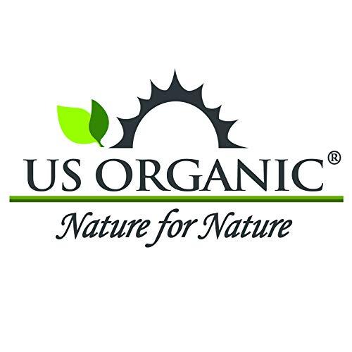 US Organic US Organic Beard Oil, 100% Pure, USDA Certified, Softens, shine, moisturizes, Amber Glass Bottle with Eye Dropper, 2 Ounce