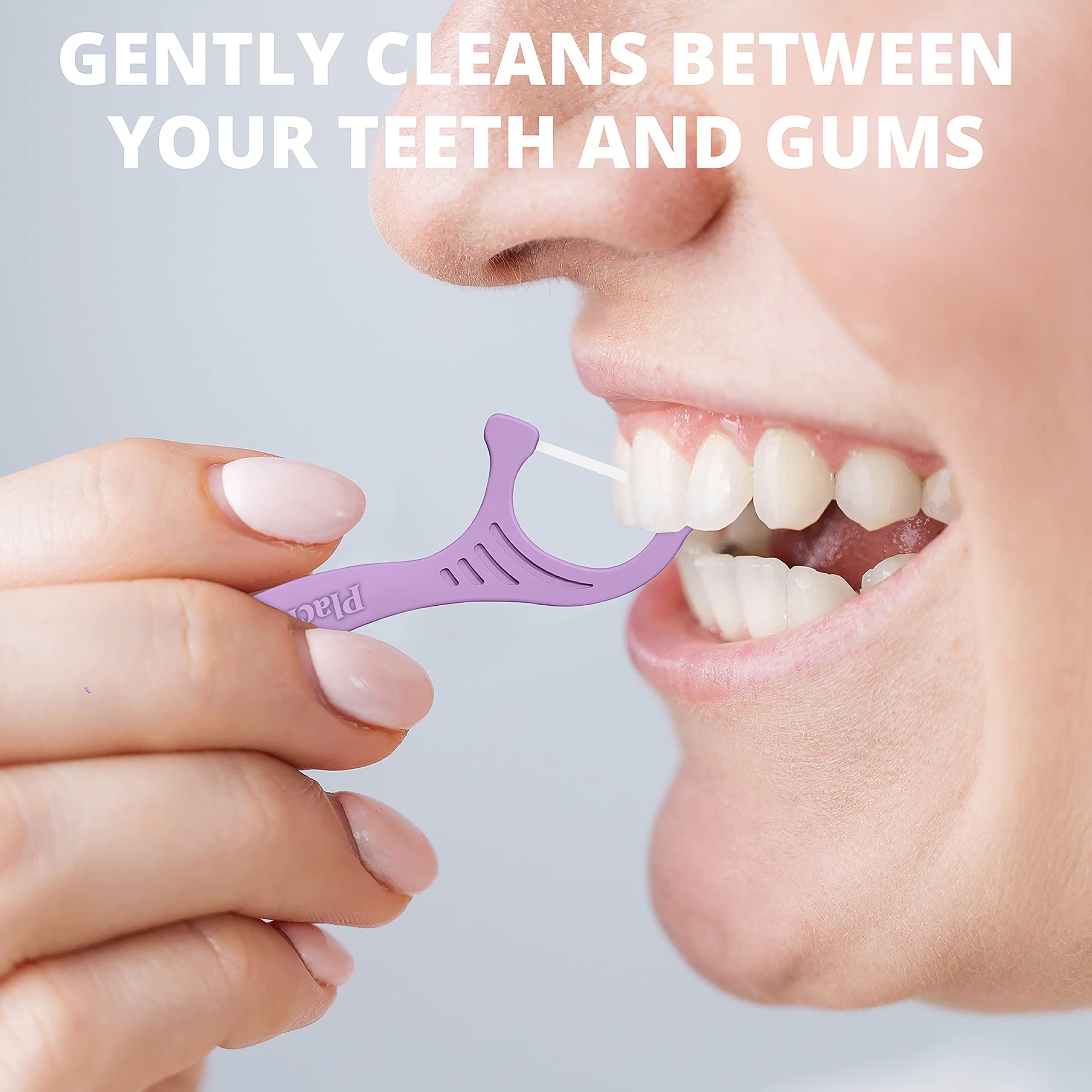 Plackers Plackers Gentleslide Flosser, 90 Count