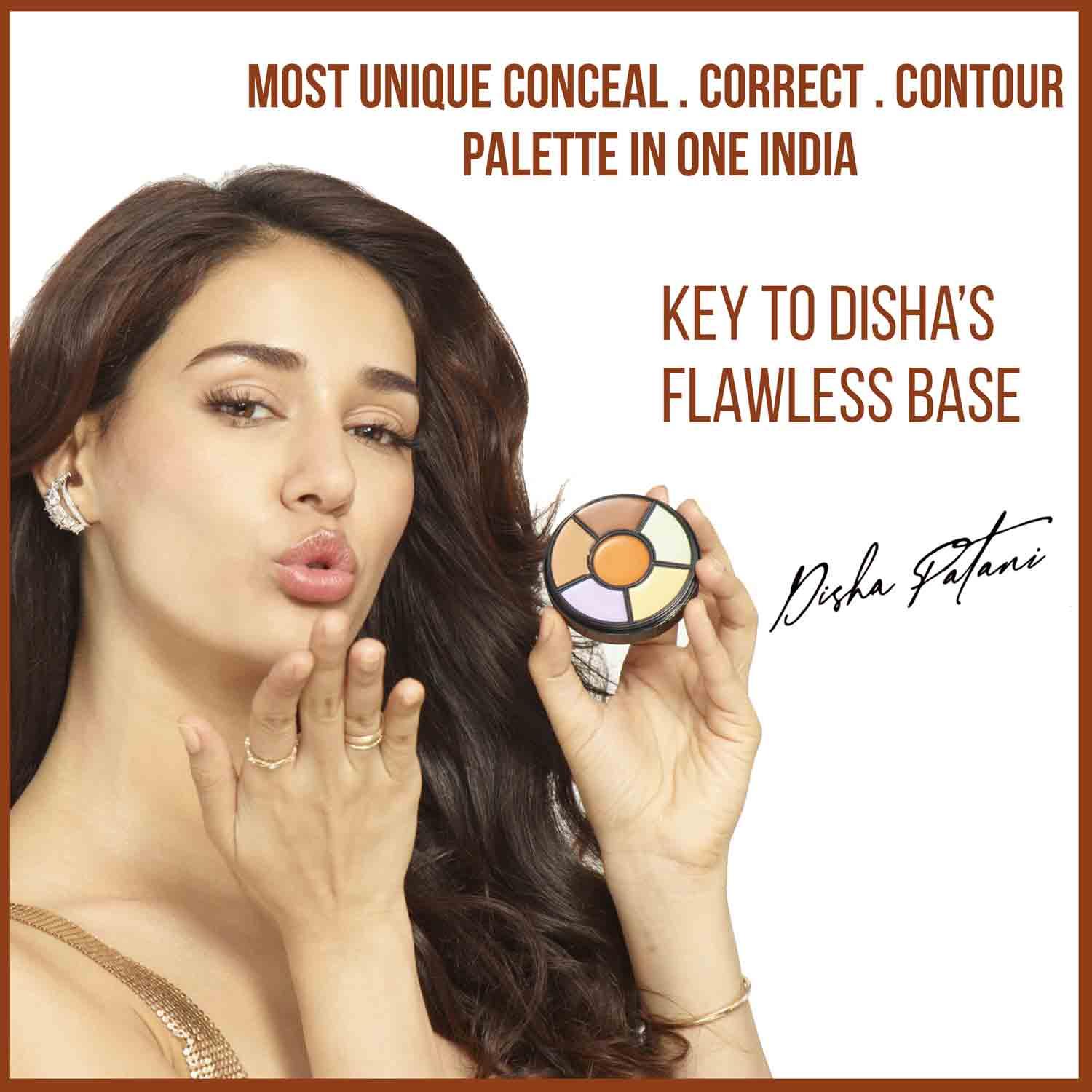 INSIGHT Insight Cosmetics Pro Concealer Palette - Corrector, 15gm