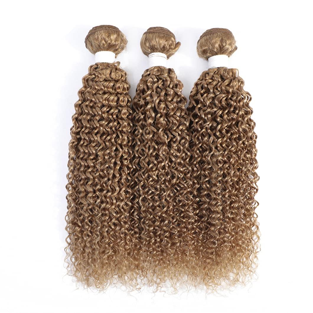 SSJFZM Blonde Kinky Curly Human Hair Bundles Brazilian Hair Weave Extensions 3/4PCS Bundles Deal Non-Remy Human Hair Weave 99j 26 26 26 26