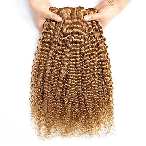 FEEL ME FEEL ME Afro Kinky Curly Human Hair Bundles Brazilian Hair Weave Bundles 10A Unprocessed Brazilian Virgin Curly Hair Bundles Color 27 Honey Blonde Curly Hair 100g 14 Inch