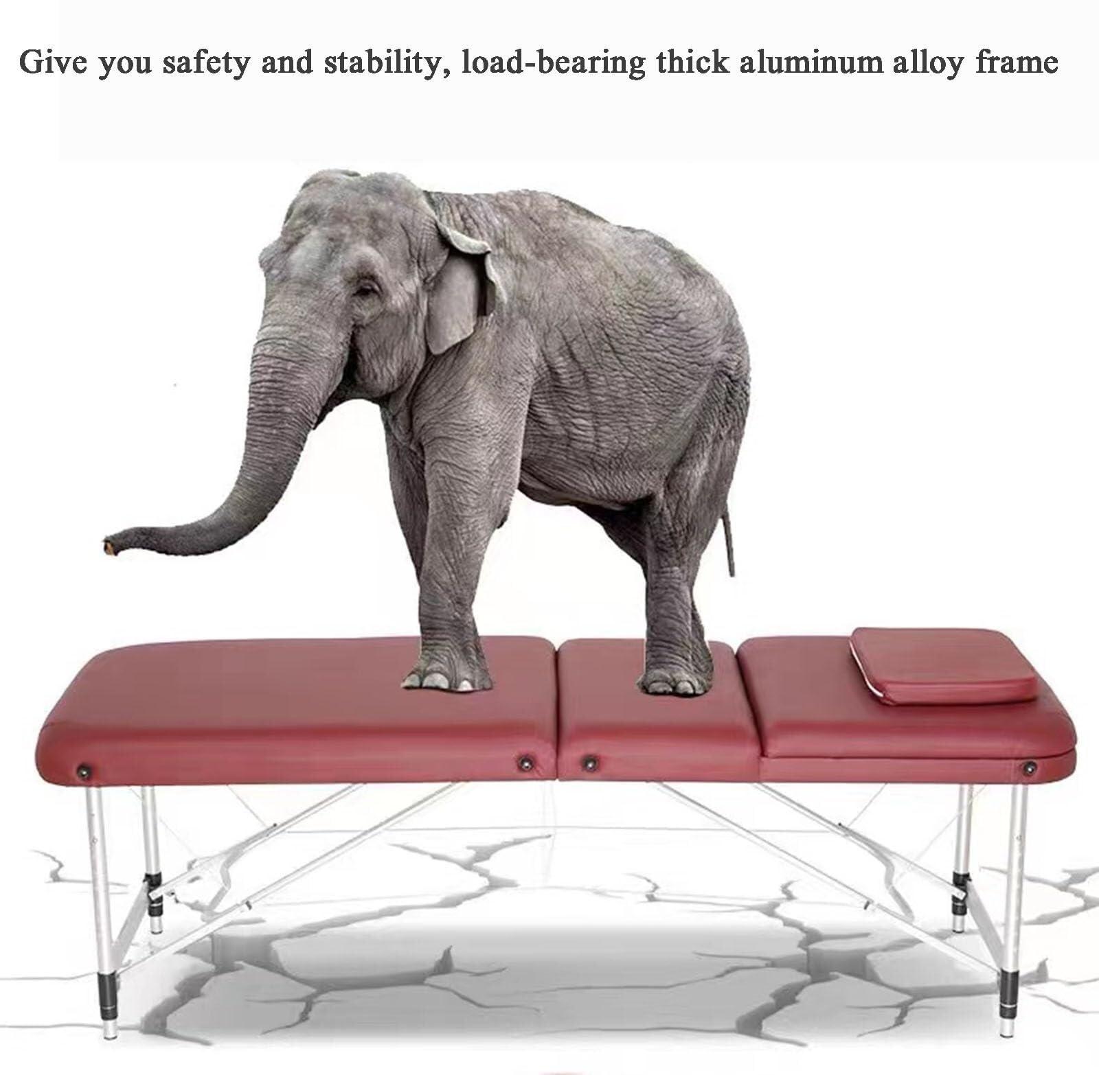 NinthAvenue Basics Professional Massage Table Portable Massage Bed Lash Spa Tattoo Bed Esthetician Adjustable 3-Fold Aluminum Legs Carrying Bag, W60cm