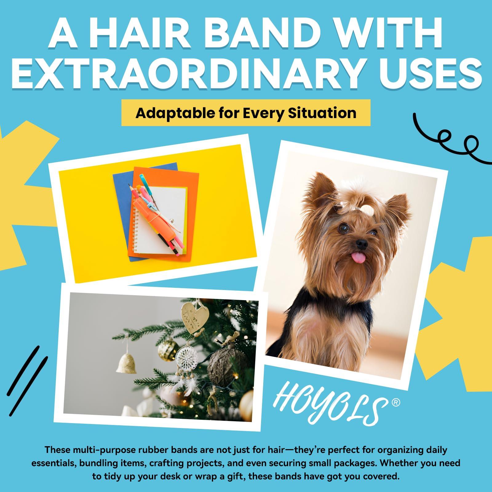 HOYOLS HOYOLS Clear Elastic Hair Bands, 2500 Small Rubber Bands Braids for Girls Kids Women Non-Slip Tiny Soft Hair Ties Accessories Value Pack TPR