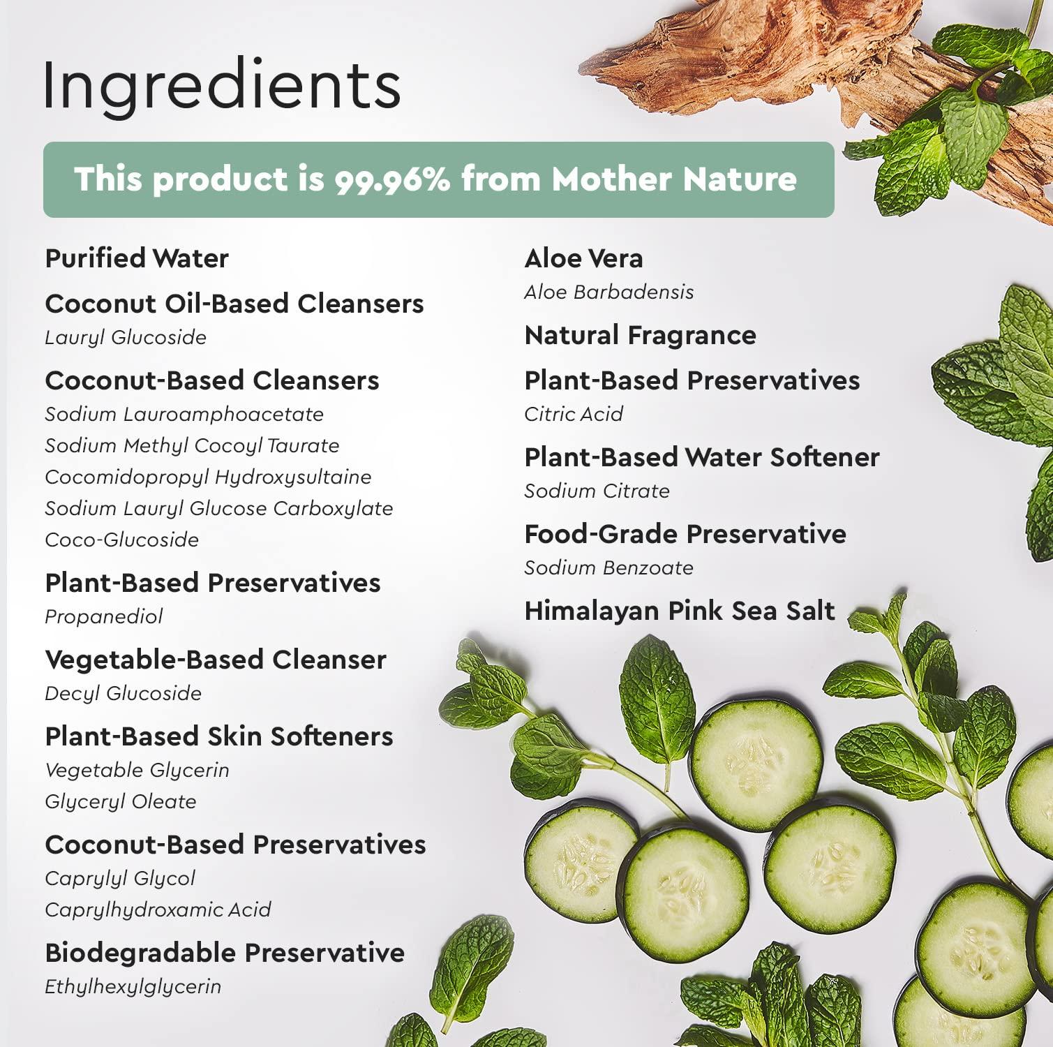 Puracy Puracy Foaming Hand Soap - Plant-Powered Natural Hand Soap As Seen on TikTok, Non-Toxic, Sulfate-Free Liquid Soap, Moisturizing Foam Handwash Liquid (Cucumber & Mint, 12 fl oz, 3-Pack)