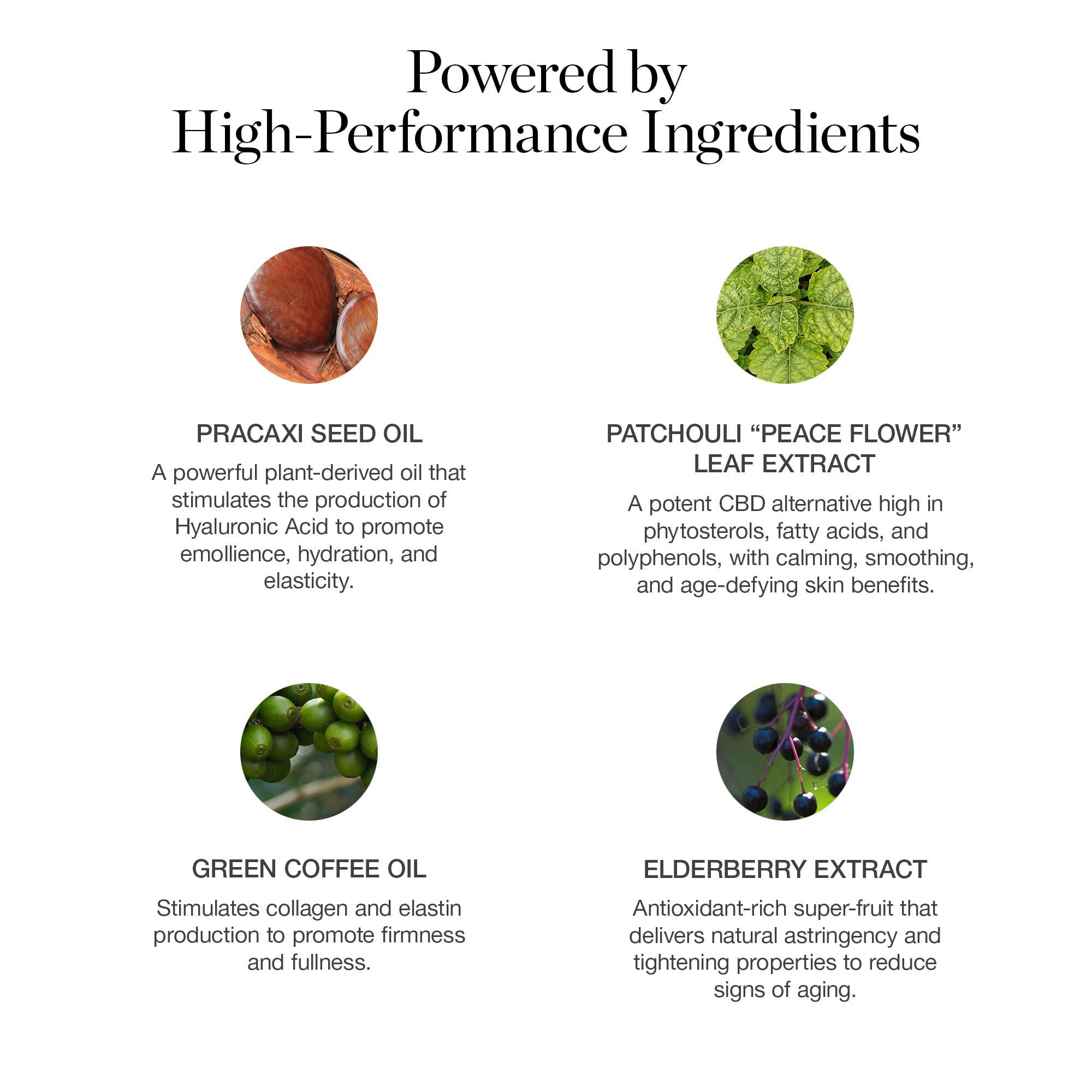 Ogee Ogee Sculpted Complexion Foundation Stick (Poplar 0.10C Fair, White-Pink Undertones) Full Coverage Foundation Makeup - Instantly Balance & Even Complexion - 70% Organic Ingredients