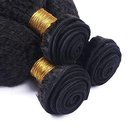 Tony beauty hair Tony Beauty Hair Kinky Straight Malaysian Human Hair Weave Extensions Wholesale 3/4Pcs Lot Iralian Coarse Yaki Virgin Remy Human Hair Bundles Deals 7A Grade Hair Weaving (10 12 14)