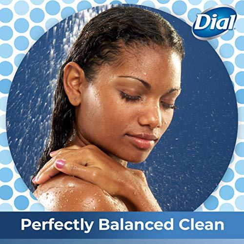 Dial Dial Body Wash, Refresh & Renew Spring Water, 32 fl oz