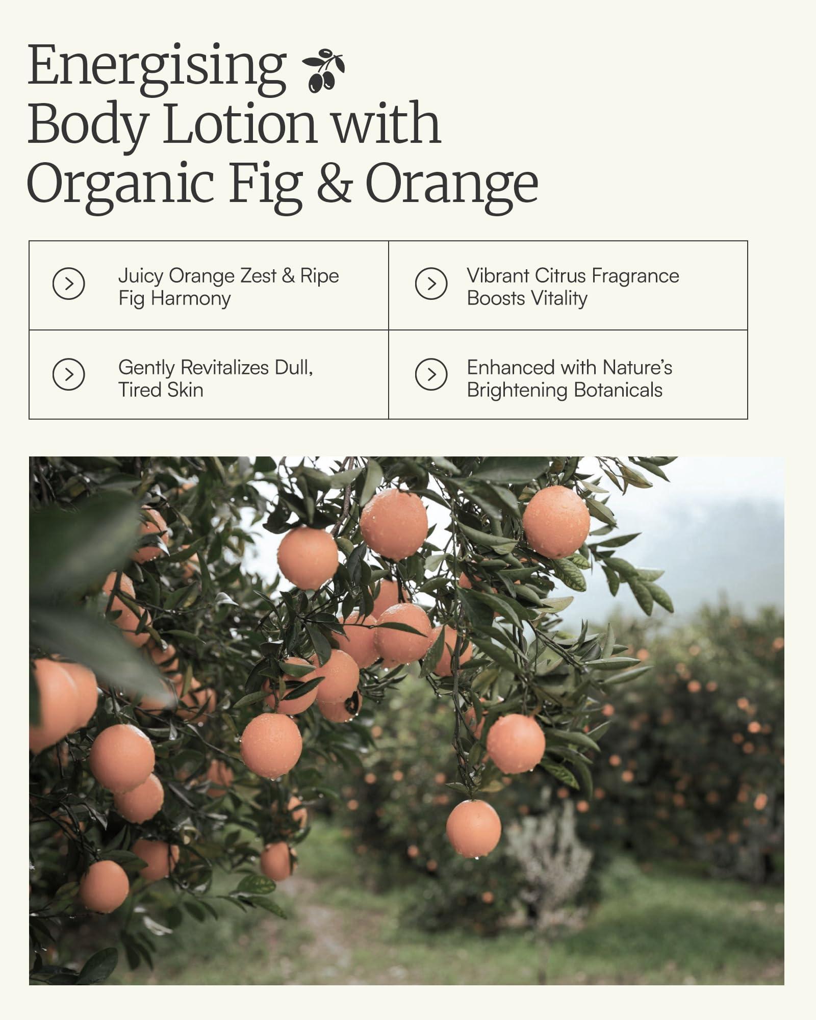 AELIS Aeolis Body Lotion - Hydrates and Nourishes the Hands, Face and Body - Absorbs Quickly - Uses Royal Jelly & Organic Orange + Olive Oil - Ultimate Care - 6.76 Fl Oz