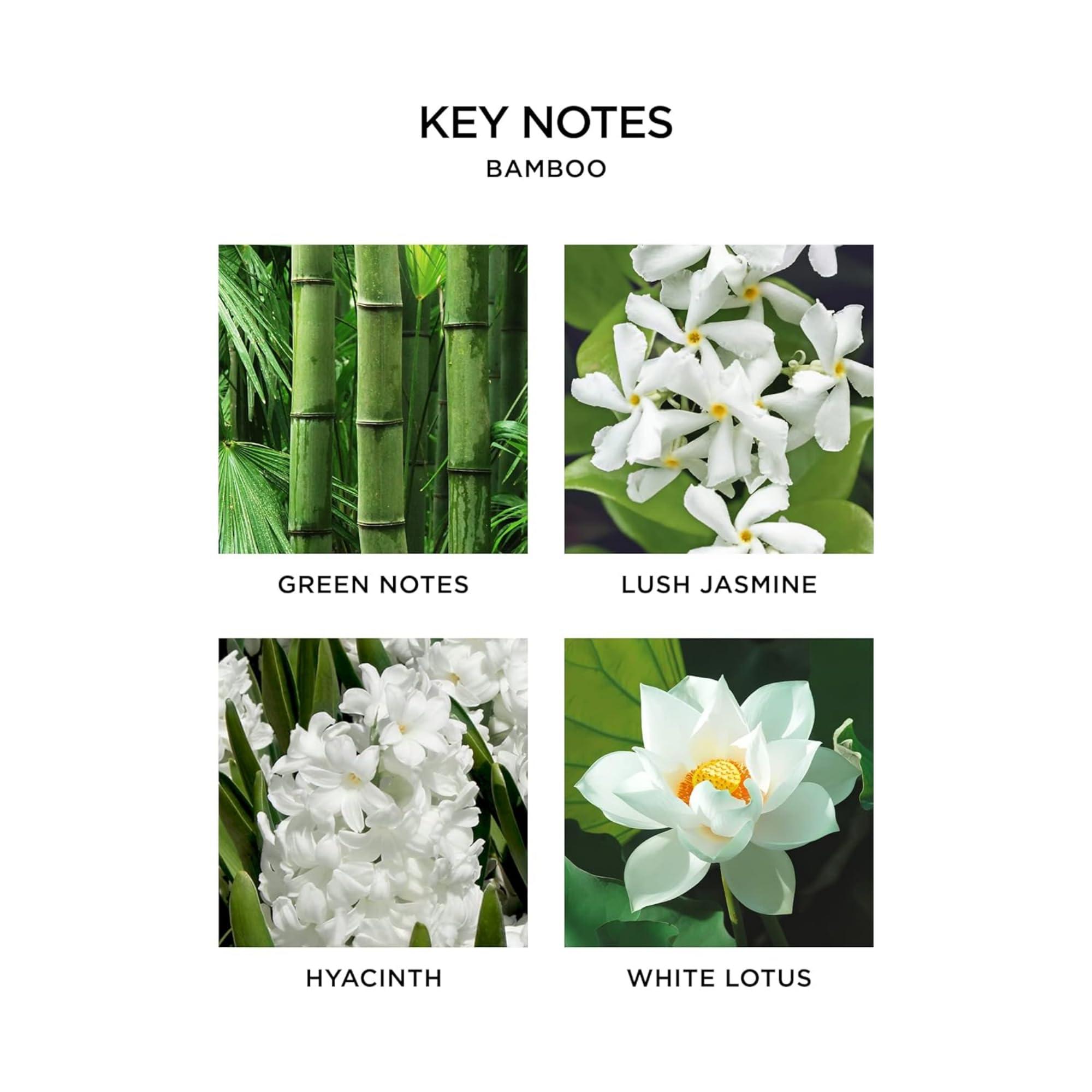 NEST New York NEST New York Bamboo Liquid Hand Soap