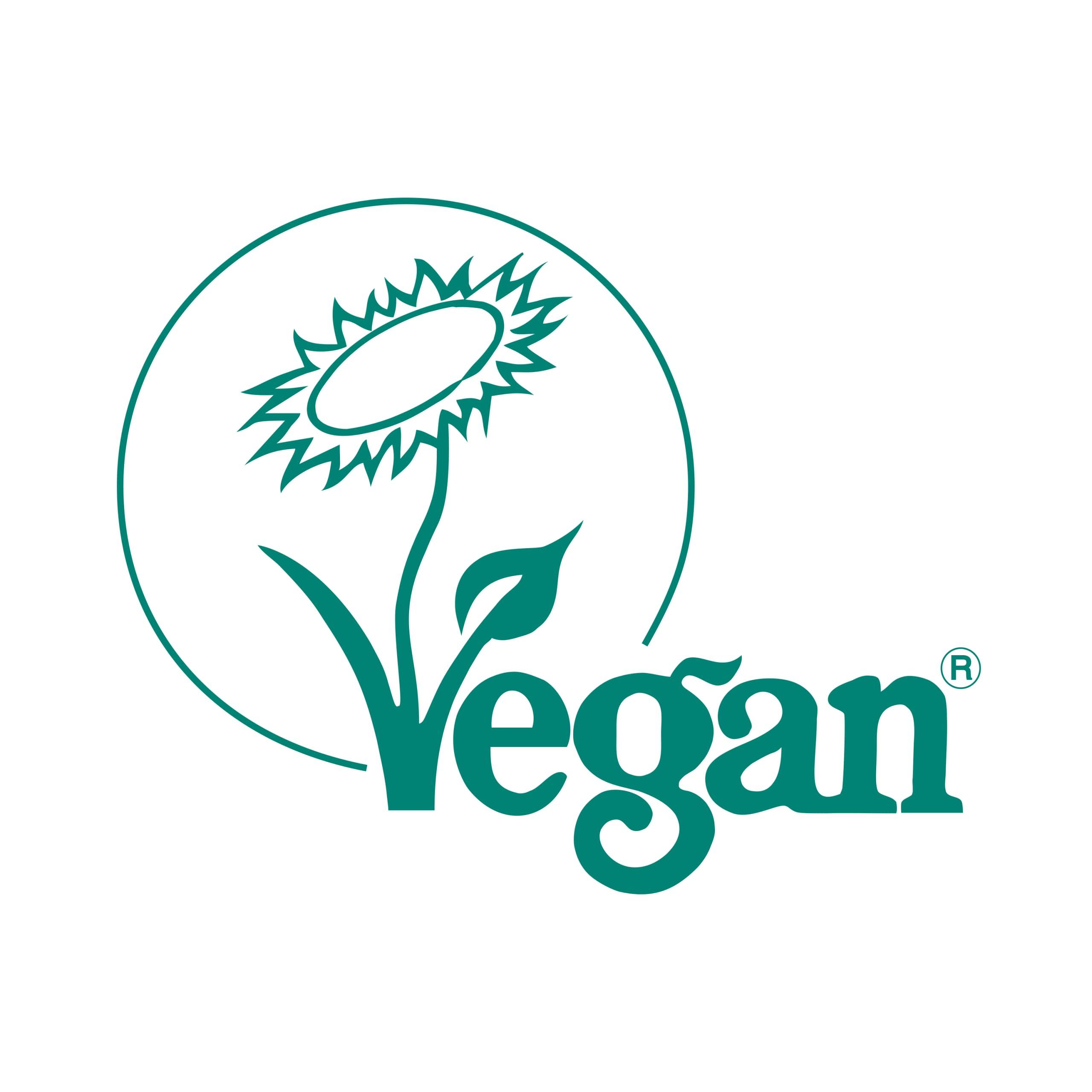 Oulac Oulac Peach Blush Makeup Fair Skin| Pigmented Powery Blush Korean Style| Natural Radiant Look| Blendable & Buildable Blush Light Skin| Vegan Cruelty-Free| 4.8g 16 Summer Time