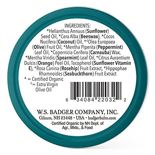 Badger Badger - Cool Mint Lip Butter, Moisturizing Organic Coconut Oil, Beeswax, Sunflower & Peppermint Oil