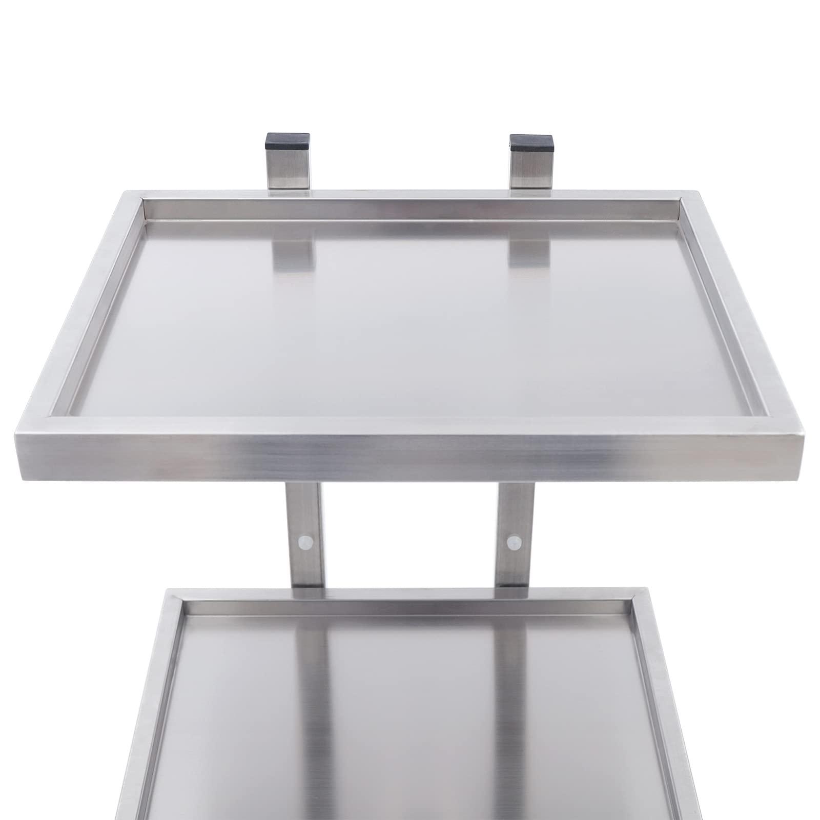 Shikiy Shikiy Rolling Tool Trolley Cart with Double Storage Tray, 2 Tier Stainless Steel Trolley Cart Hair Salon Tattoo Medical Tray Cart with Universal Wheel for Hair Salon Tattoo Studio Home Use, Silver