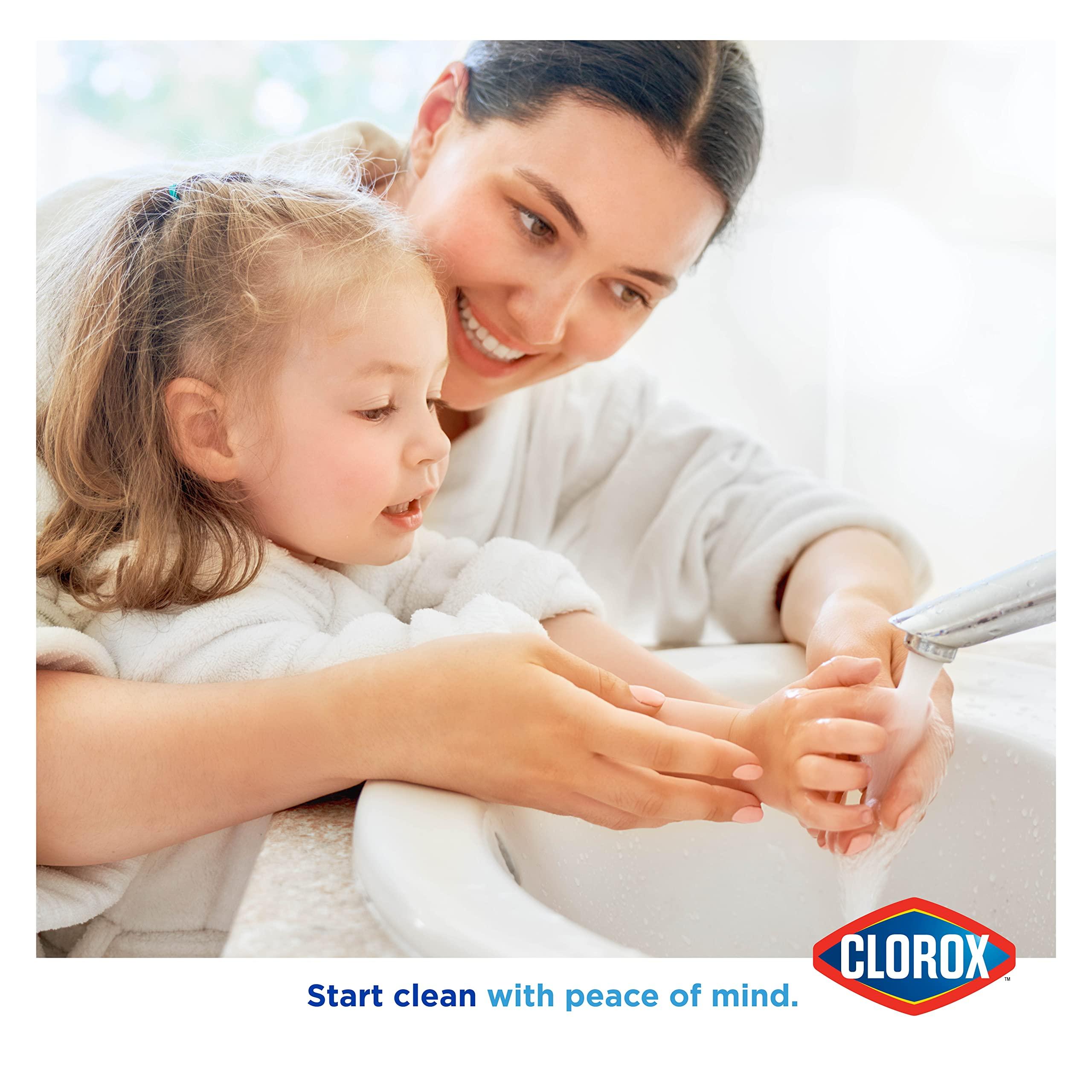 Clorox Clorox Liquid Hand Soap Pump - 16 oz Soothing Aloe Antibacterial Hand Soap - Liquid Hand Soap Eliminates Dirt, Soft on Hands Tough on Dirt - Clorox Hand Soap, Bathroom Hand Soap, Kitchen Soap