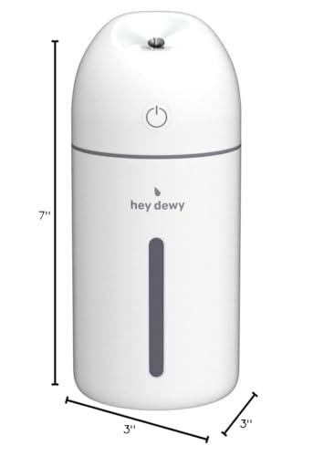 Hey Dewy Hey Dewy Portable Facial Hydrating Cool Mist Humidifier (USB Wired Version)