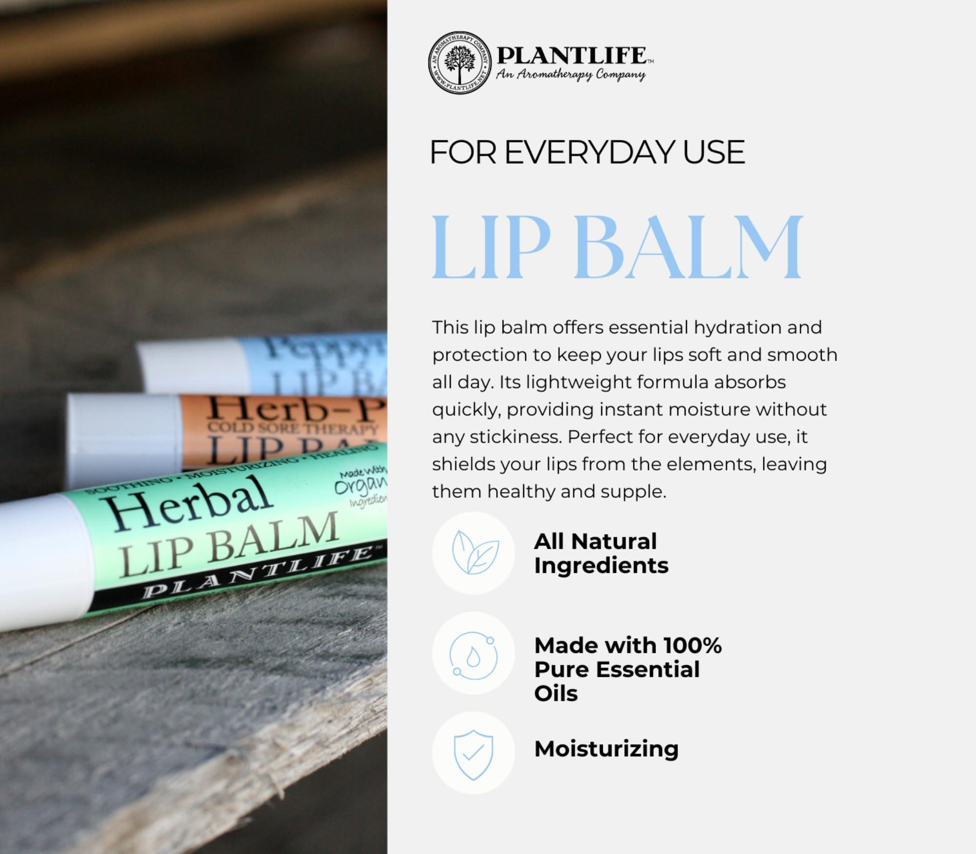 Plantlife Plantlife Lavender Lip Balm - Organic Lip Balm Made with Beeswax, Calendula & Chamomile to Create the Most Soothing Lip Balm for Chapped Lips - Helps Moisturize Lips & Cuticles - Made in California