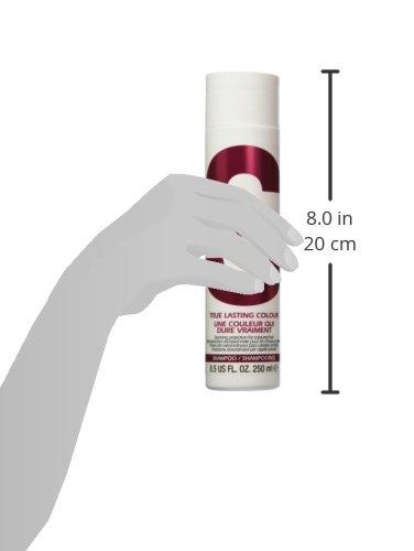 Bed Head Tigi S Factor True Lasting Color Shampoo, 8.5 Ounce
