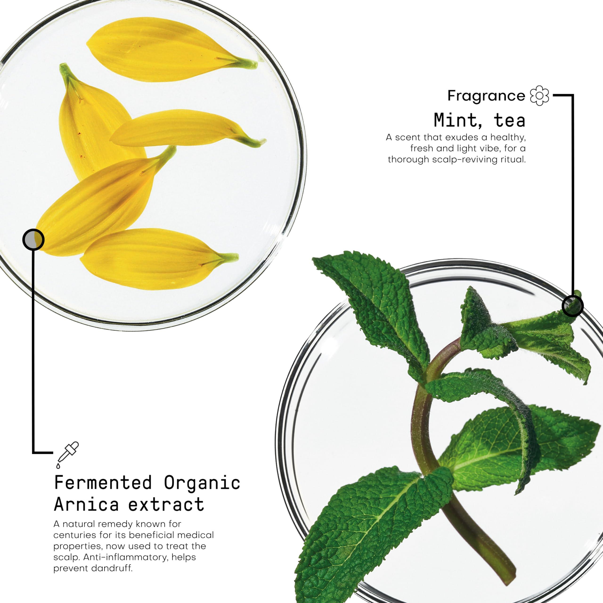 FRAMESI FRAMESI Morphosis Scalp Destress Shampoo 8.4 fl oz, Soothing Shampoo for Sensitive Scalps, Natural Ingredients and pH Balanced