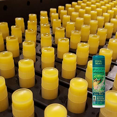 Badger Badger - Cocoa Butter Lip Balm, Cool Mint, Certified Organic Lip Balm, Fair Trade, Lip Butter, Lip Balm Cocoa Butter, Cocoa Care Lip Balm, 0.25 oz (4 Pack)