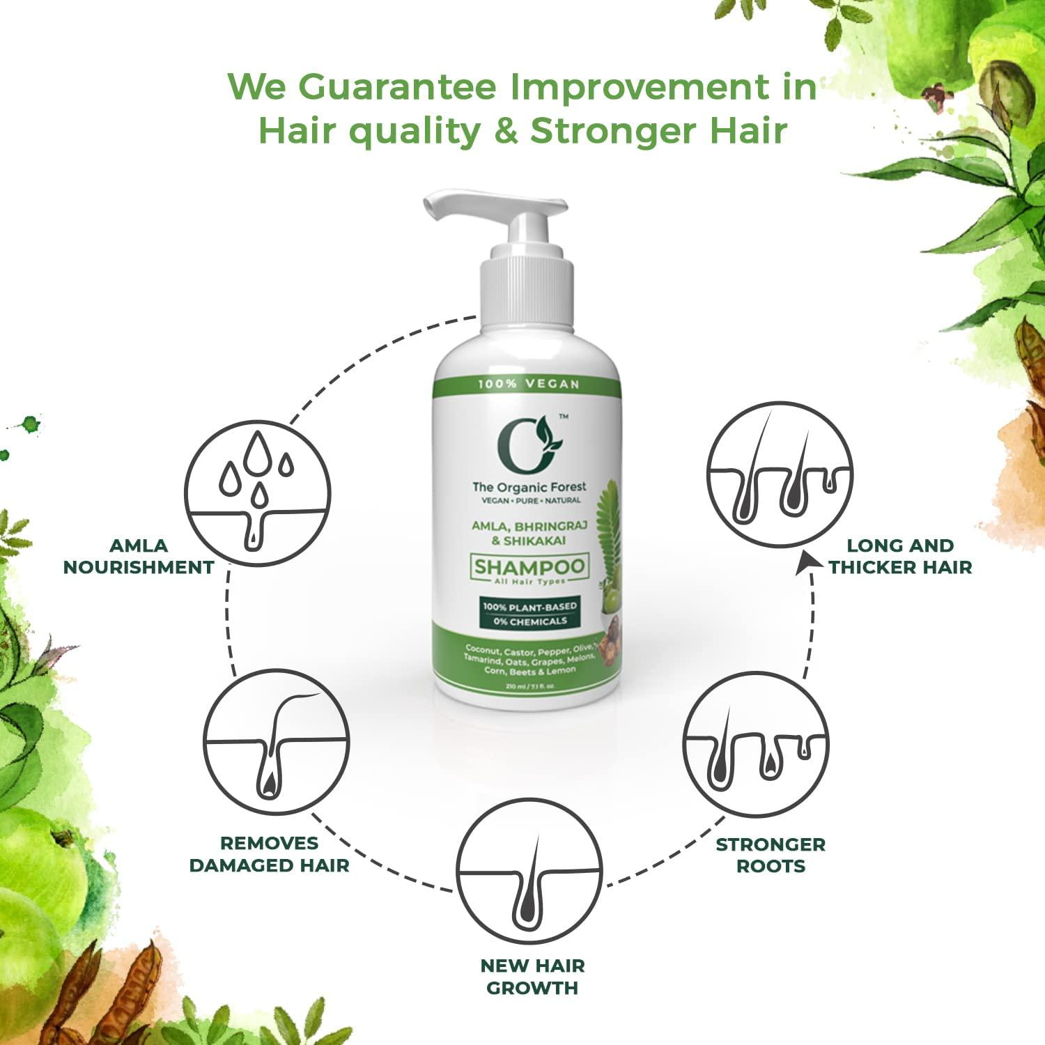 NinthAvenue Basics Amla Shampoo with Reetha & Shikakai - Sulfate & Paraben Free Shampoo for Hair Fall Control, Moisturizing, Anti-Dandruff | Infused with Coconut & Castor Oils | Organic Shampoo for Dry & Oily Scalp Care