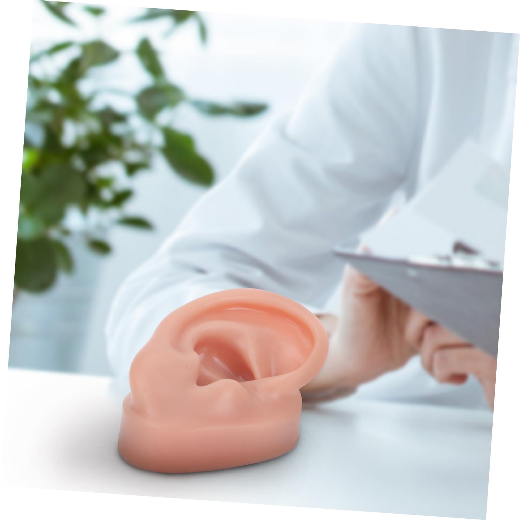 BIUDECO BIUDECO 1pc Human Ear Model Ear Picker Headphones Ear Defenders Ear Practice Model Reusable Earwax Symmetry Ear Cleaning Loop Lanyard Vibes Earphones Coffee