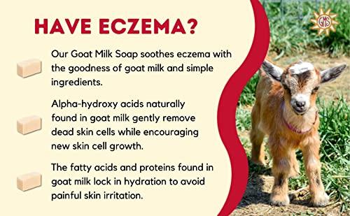 Goat Milk Stuff Goat Milk Stuff Goat Milk Soap - OCEAN SOAP | Handmade All-Natural, Goat Milk Soap Bars for Dry Skin Relief, Body & Face Wash for Men and Women, Bar Soap (Box of 2)