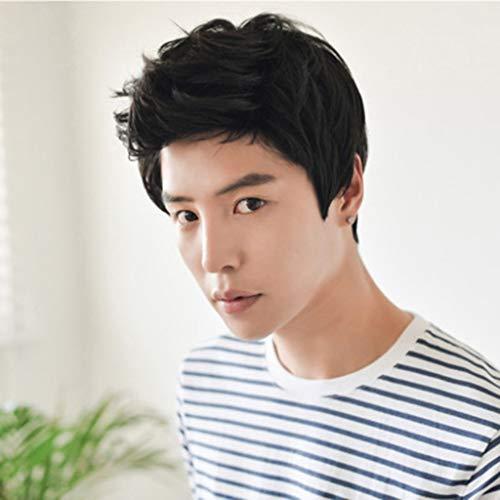 FeiFei66 FeiFei66 Fashion High Temperature Fiber Short Wigs for Men Wig Man Male Brown Black Handsome Cool Wig 4.7 inches / 12cm (A)