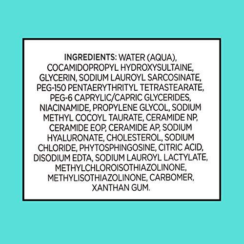 Equate Beauty Equate Beauty Foaming Facial Cleanser, Normal to Oily Skin, 12 fl oz